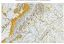 打开文件报告 2025-06 Charlottesville 的地表地质图 30-x 60 分钟四边形，1: 100，000-比例
